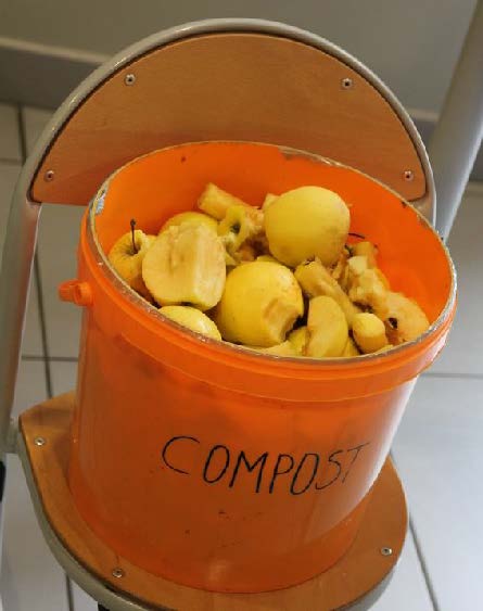 restes de pommes compost