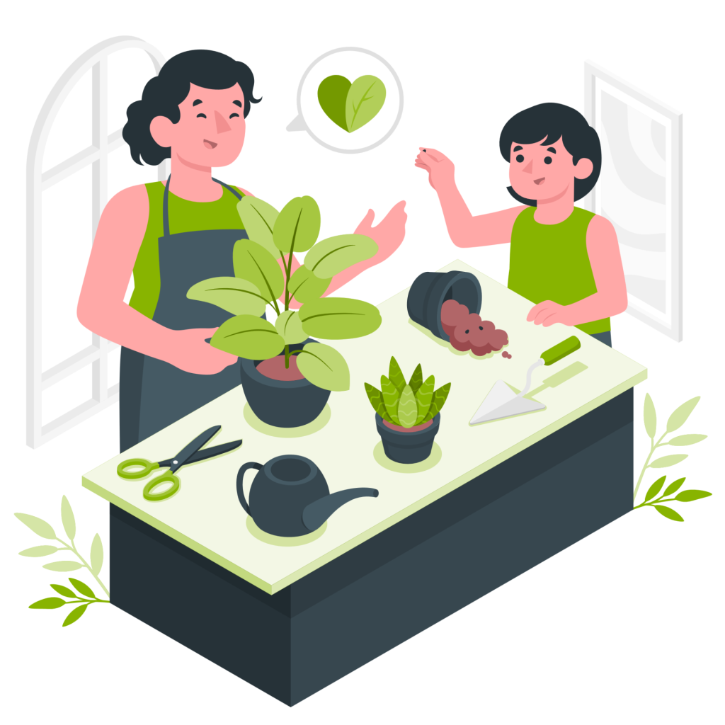 prendre soin des plantes
