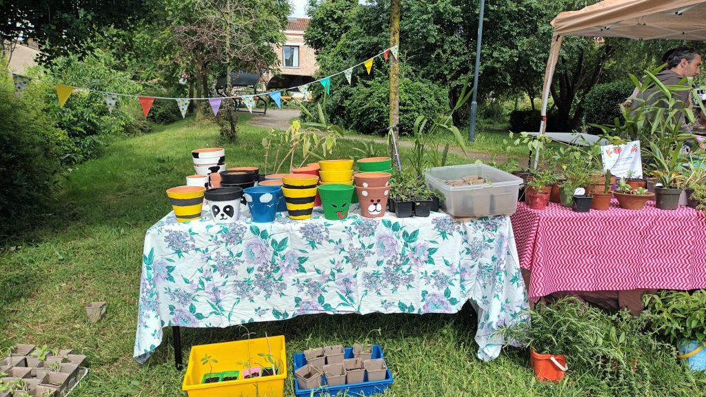 pots et plantes à vendre